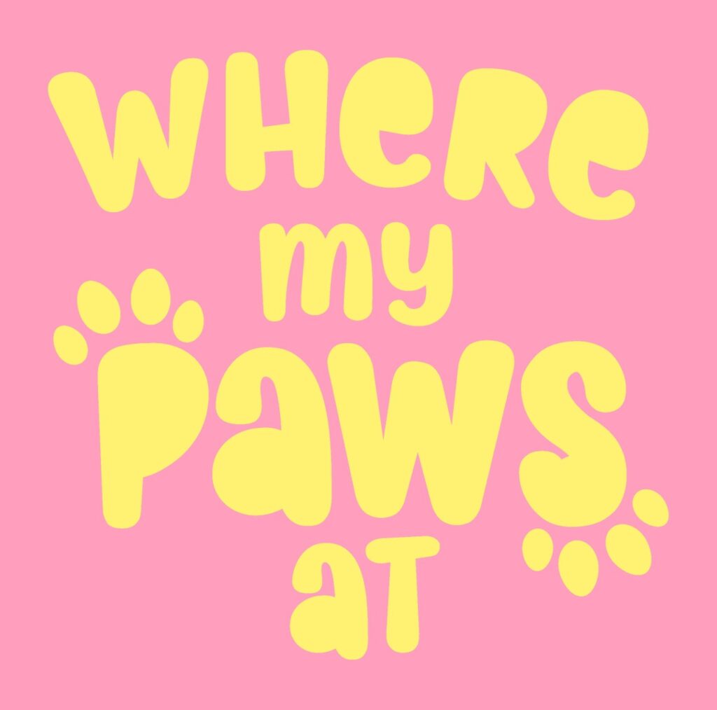 where my paws at, paw pals, microchipped, dogs, cats
