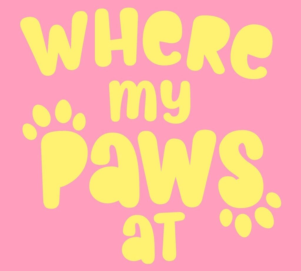 where my paws at, paw pals, microchipped, dogs, cats