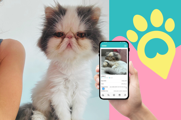 Register your pet's details in the UAE