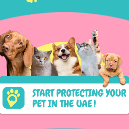 pet safety, lost dog. lost cat, find my pet ae, find my pet UAE, pet microchip